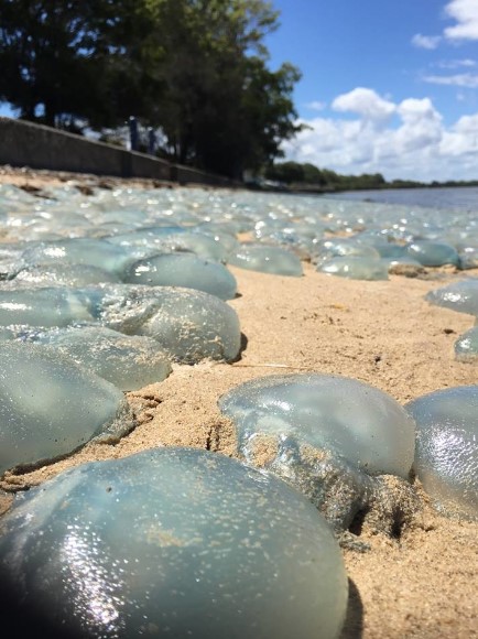 Porno multfilm farishta