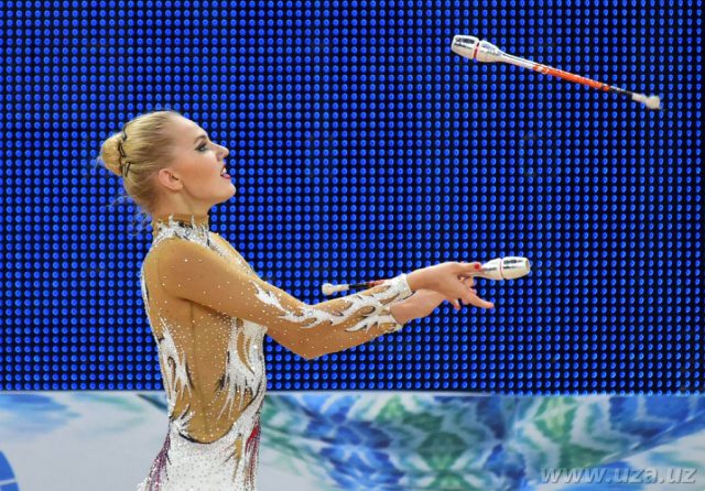 Yosh kokrak mushuklari yalangoch Katta dukkakli fotosuratda katta eshak