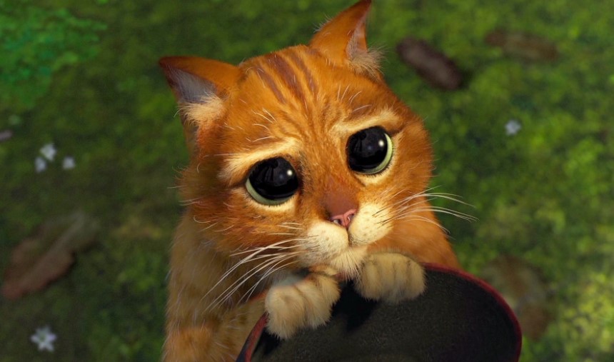 Katta kokrakli trans ayol bilan jinsiy aloqa