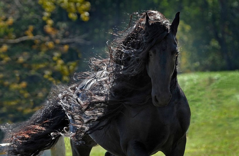 Porno aktrisa Patty Plenty Erika Adeevaning 2-uydagi minut videosi