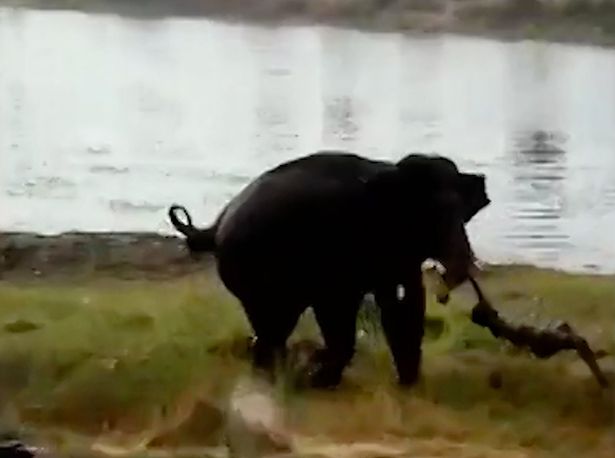 Birinchi kurs talabalari