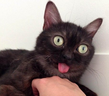 Ginekolog bemorni sikadi (video) Video boyicha vaginal orgazm