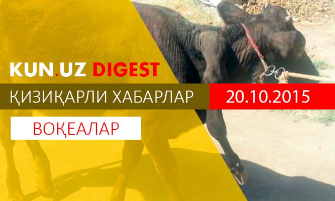 Rim va jinsiy orgiyalar Guruh jinsiy aloqa: ikkita qiz va erkak pozitsiyasi