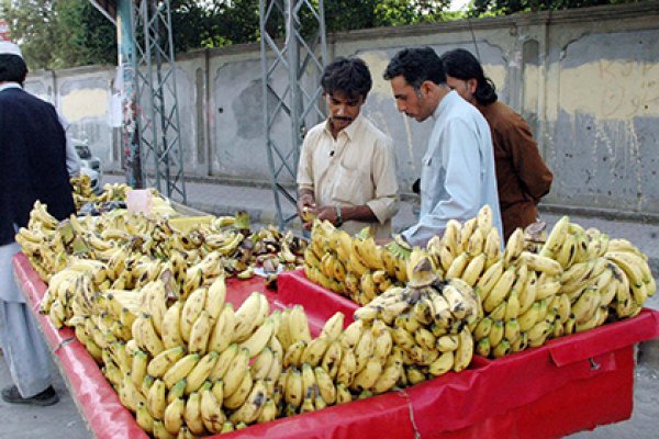 Erkaklar uchun jinsiy tarbiya: ogzaki jinsiy aloqa sanati