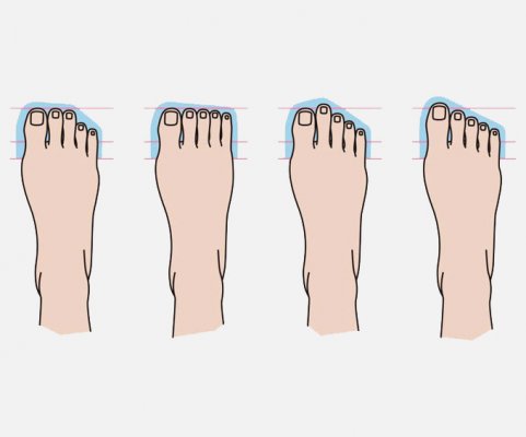 Paypoqdagi oyoq barmoqlari va mushukning fotosuratlari Paypoqdagi oyoq barmoqlari va mushukning fotosuratlari