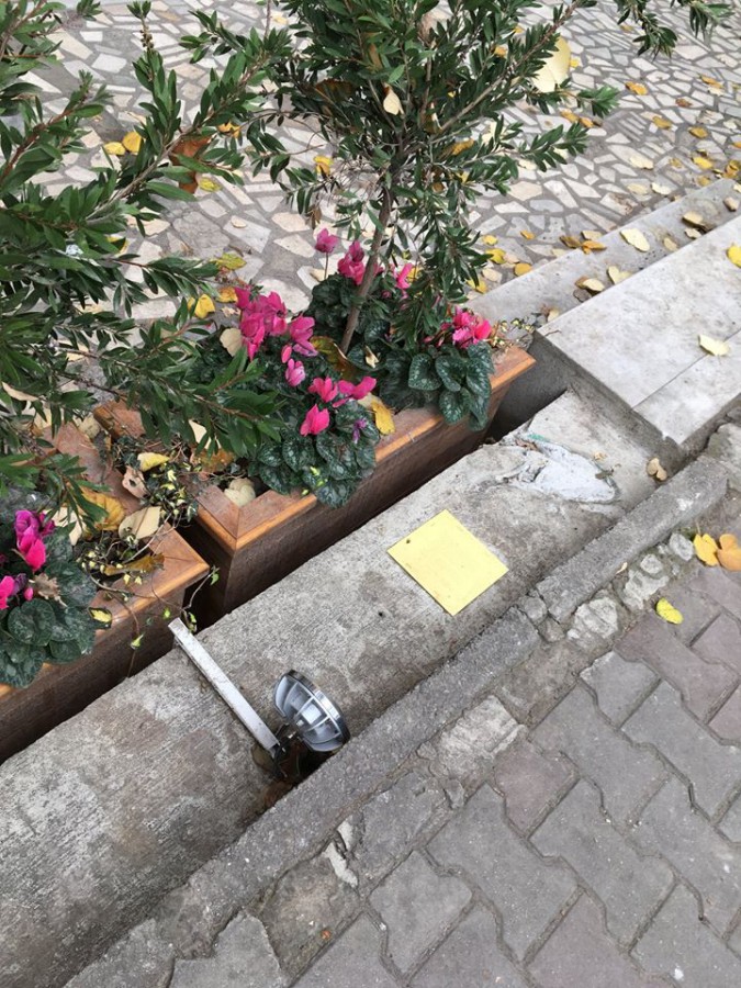 Lolilar porno onlayn