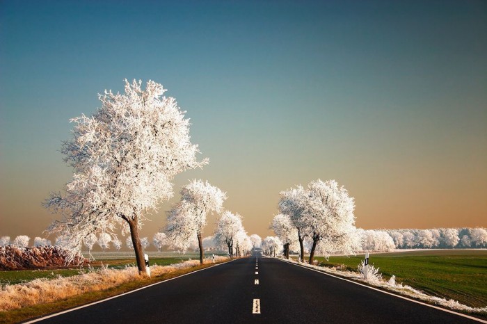 Tabiat Rasmlari Autumn Tree in Backgrounds Tabiat Rasmlari Autumn Tree in Backgrounds