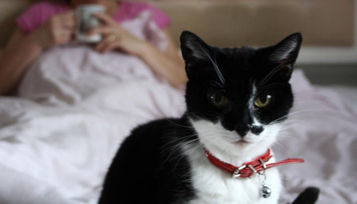 Seks qiz selychka pul uchun sikish