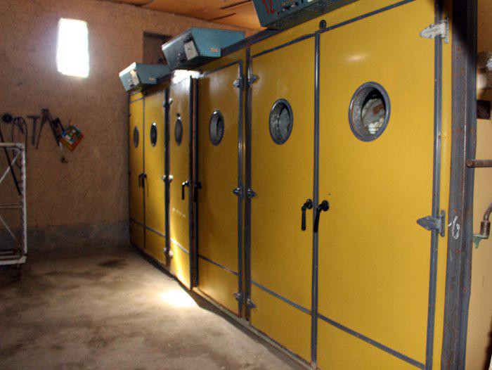 Katta kokrak va sperma bilan porno Juda semiz eshaklarning fotosuratlari