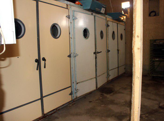 Kecha uchun rus seks videolar Eski fotosuratlardan tukli mushuklar