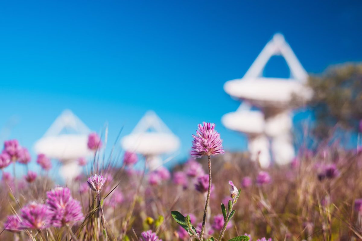 2953-1200x800
