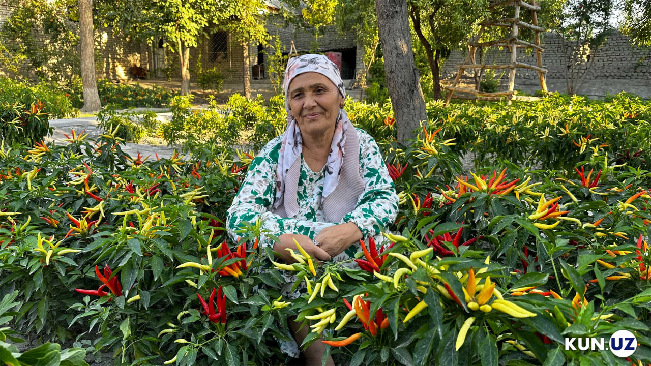 Ҳикмат ая Рўзиматова