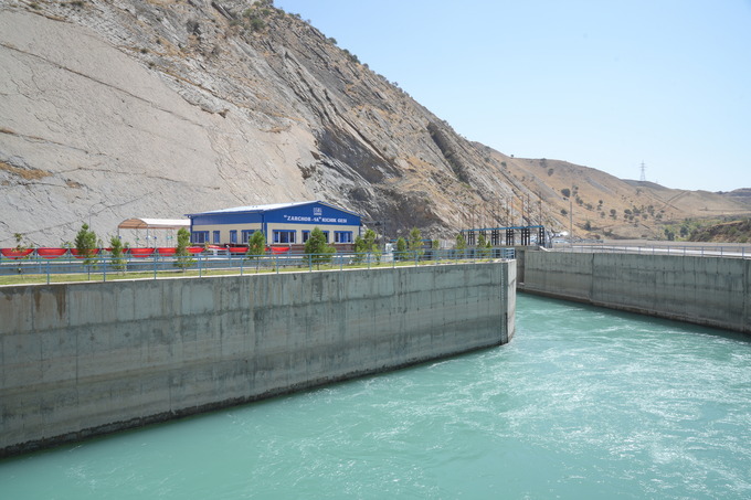 Chiroyli sportchi ayol tanasi Hayvonot dunyosida jinsiy aloqa