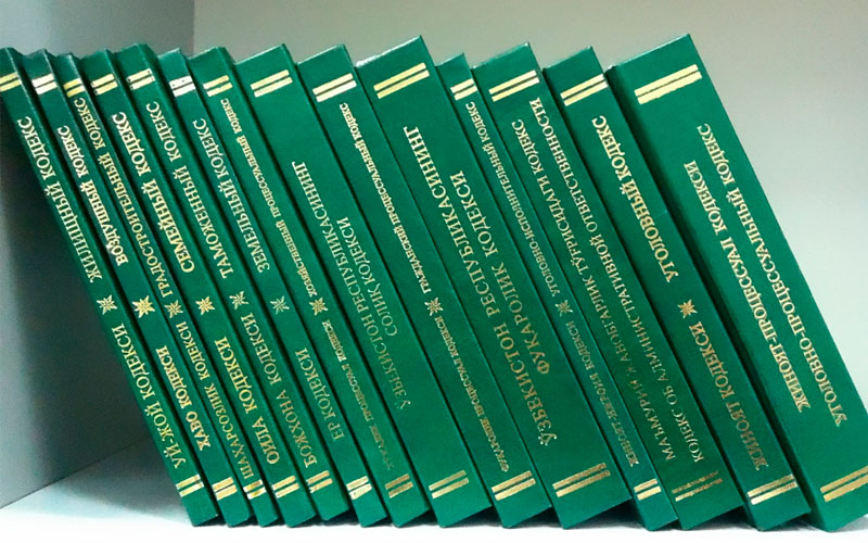 Customs Code introduced a series of amendments