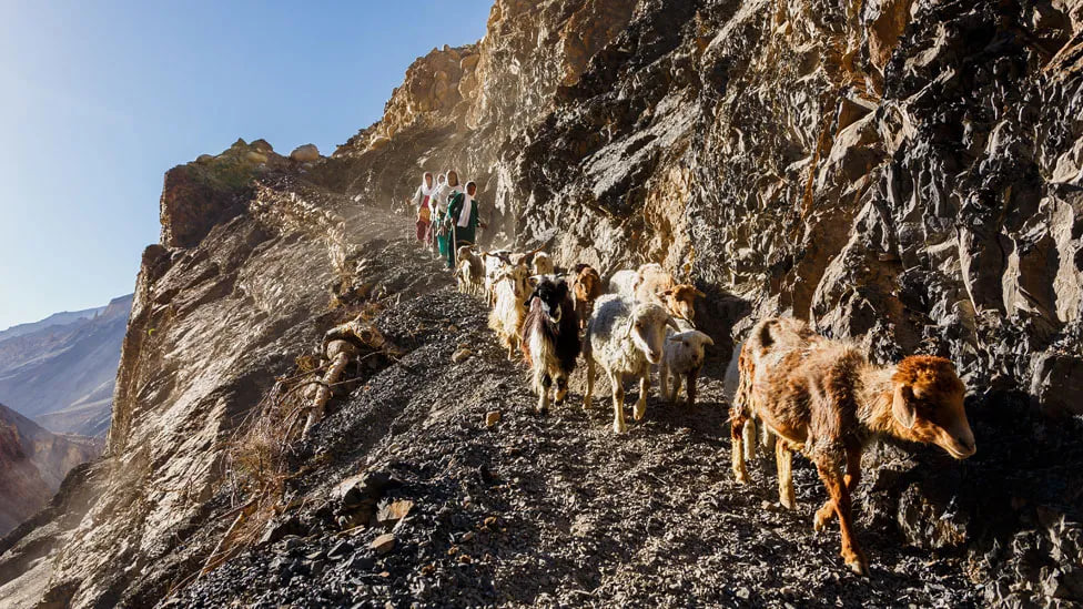 Keksa erkaklar ichkariga kiradi Keksa erkaklar ichkariga kiradi