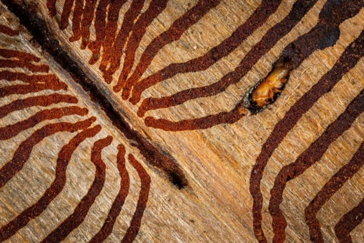 Yetuk dumba onlayn Moylovli keksa erkaklar pornosini onlayn tomosha qiling