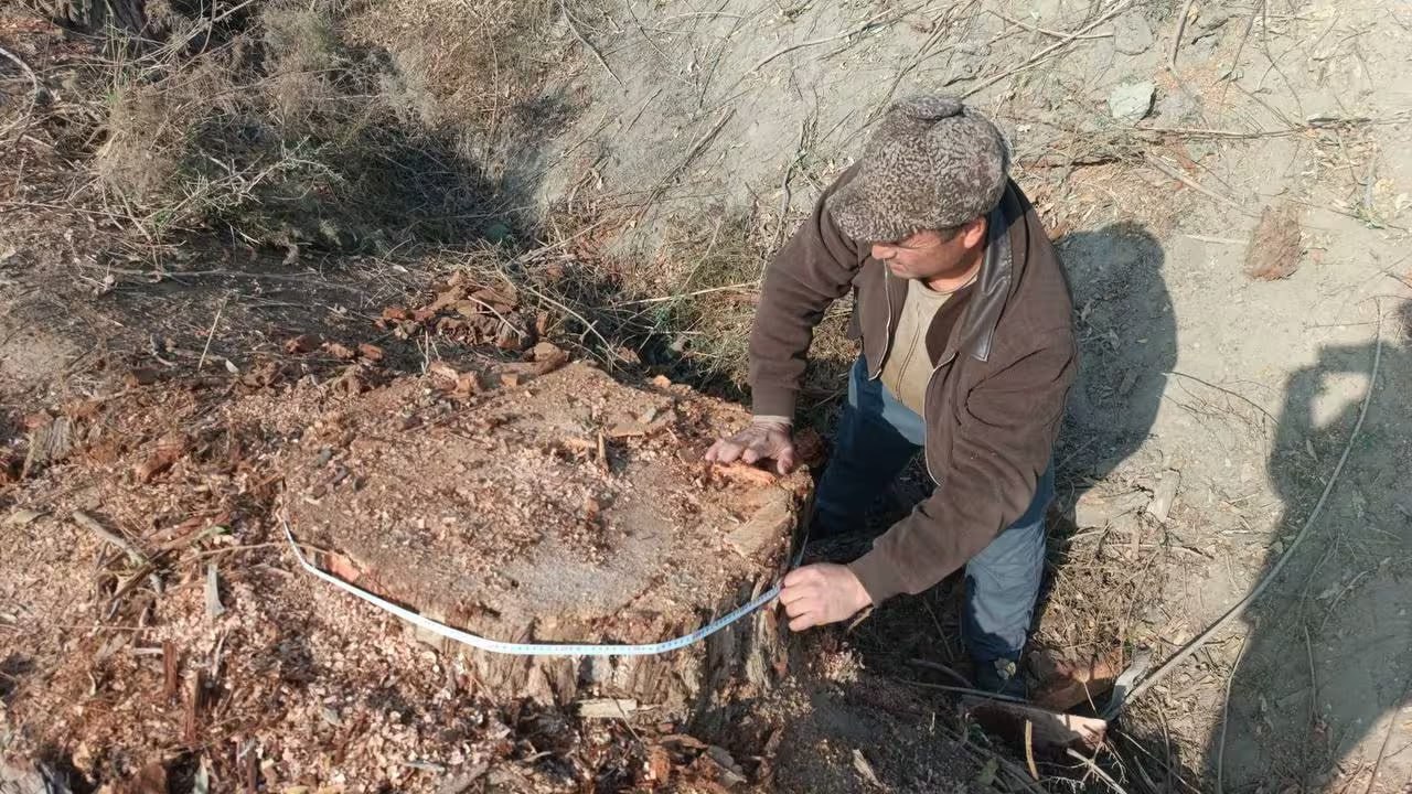 Ecology Committee launches reward scheme for reporting environmental violations.