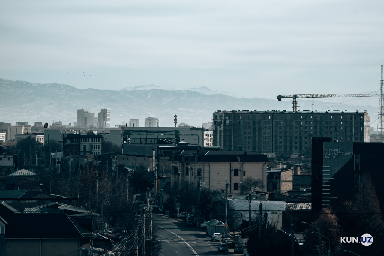 Senate approves updated law on real estate activities to curb shadow economy.