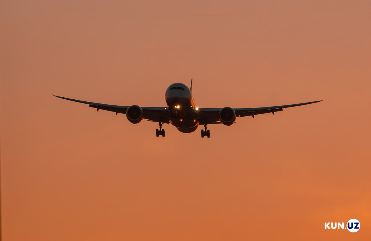 Government ready to cover air transport costs amid global logistics gaps.