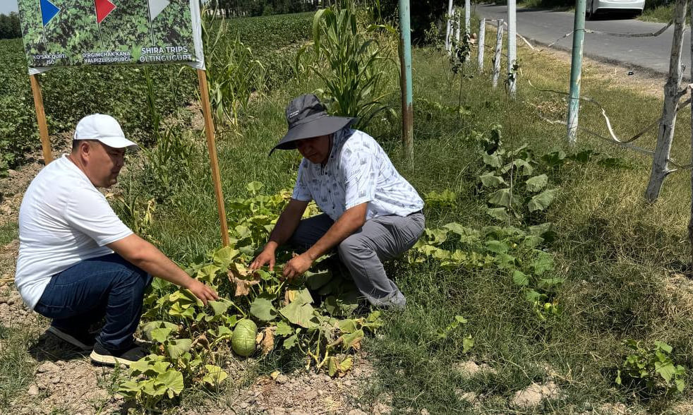 Government targets unused farmland with strict tax hikes and administrative penalties.