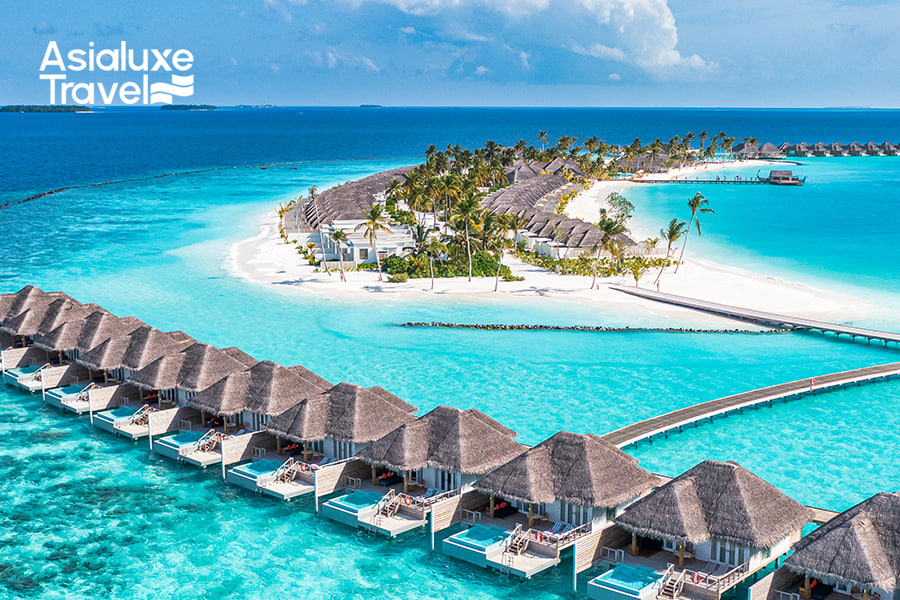 Direct flight from Tashkent to the Maldives — every Sunday.