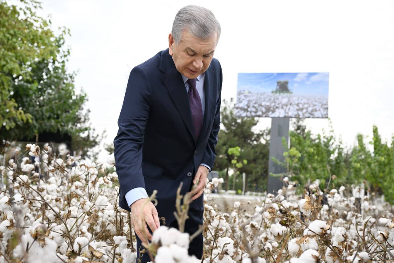 Starponiya bilan uchlik