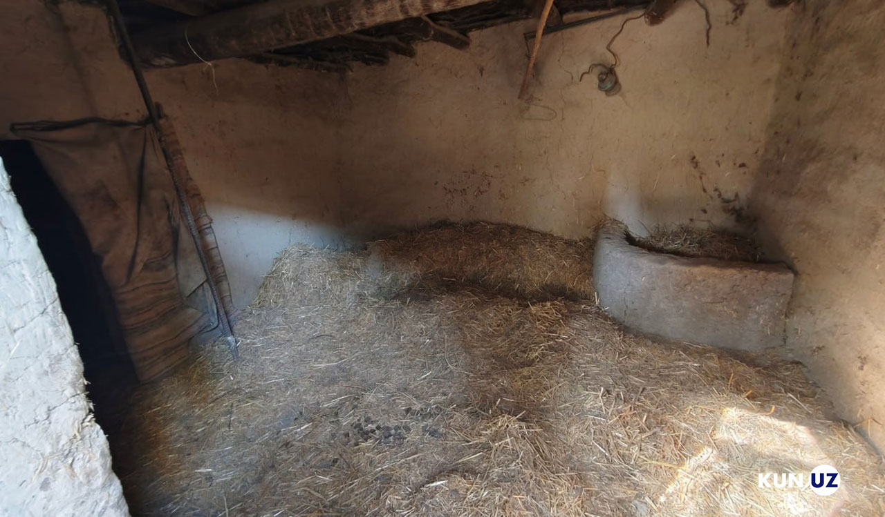 Qiz toliq qiynoqqa solinmoqda Qiz toliq qiynoqqa solinmoqda