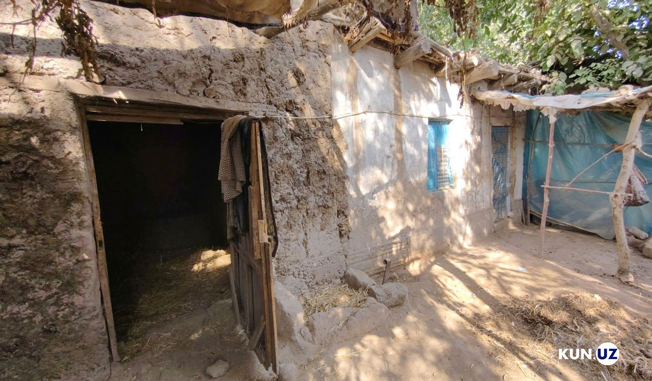 Yosh bokira mushuklar Yetuk ayollar mushuklari, oldingi korinish