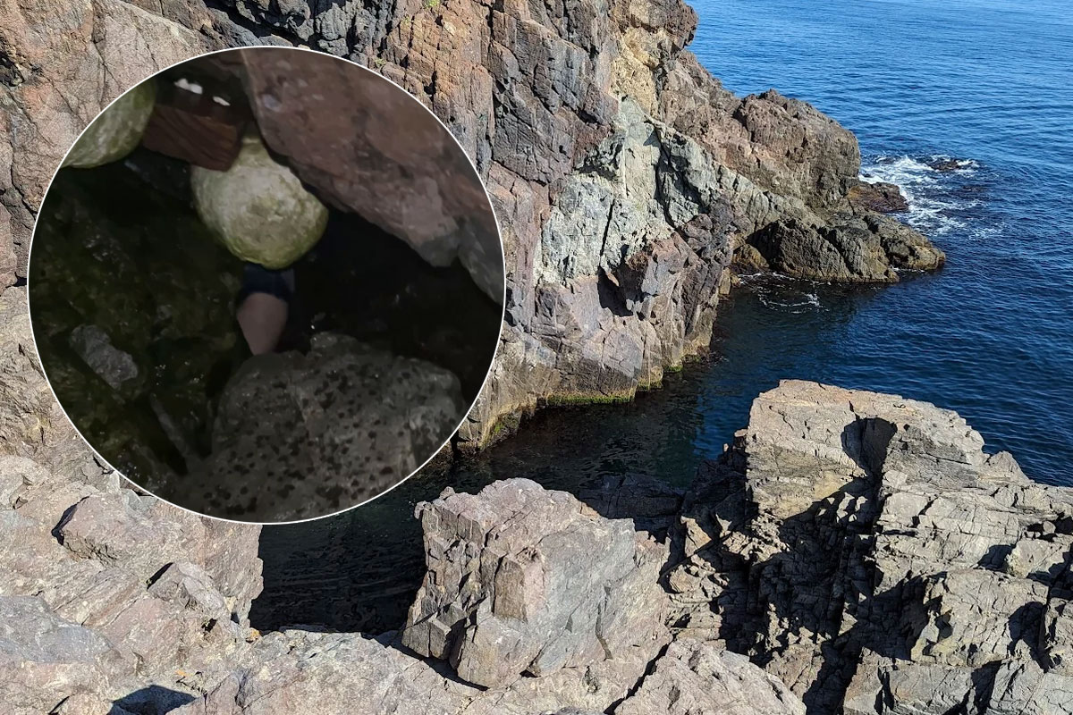 Fransuz shaxsiy erotik filmlarini tomosha qiling