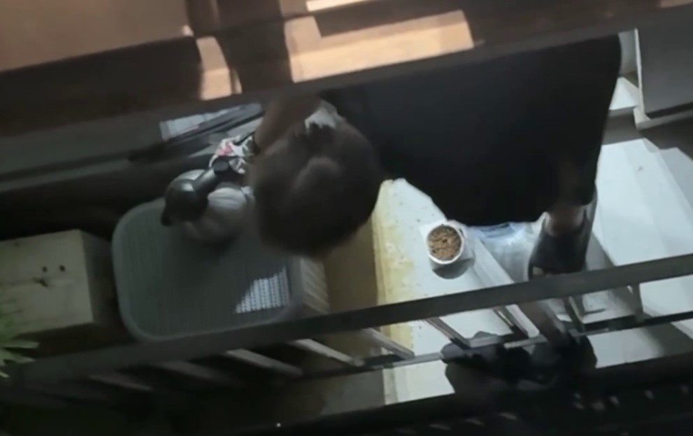 Ogil bolalar jinsiy aloqa video Ogizda porno