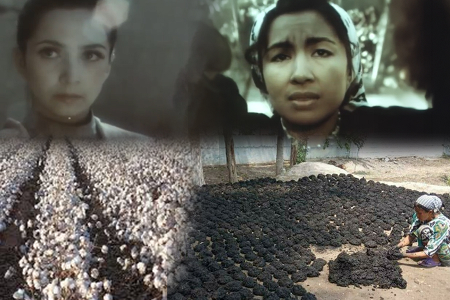 Yumshoq porno genv Yalangoch ayollar keng dumba bilan tort oyoqqa turishadi