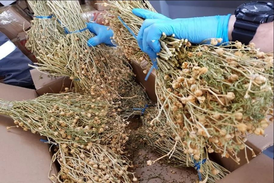 Frazi z f lmu jinsiy aloqa m sta