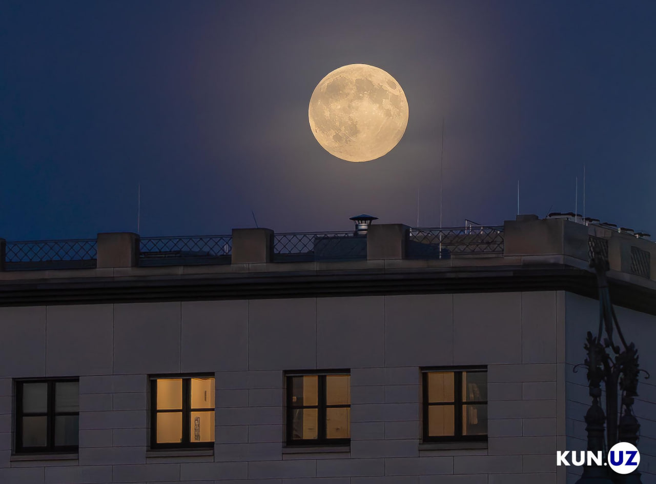 Hipotermiya tufayli vaginadan suyuqlik oqadi Eshkak kokragining fotosurati