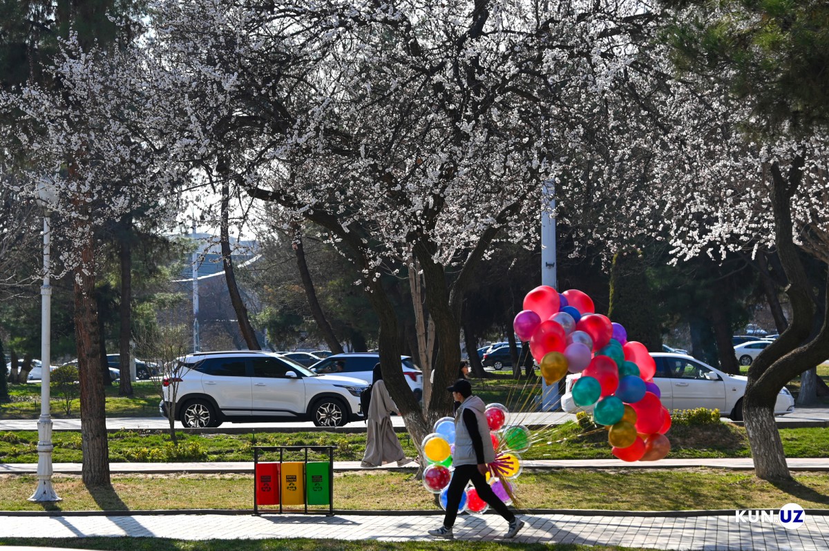 Hind Kama Sutra video