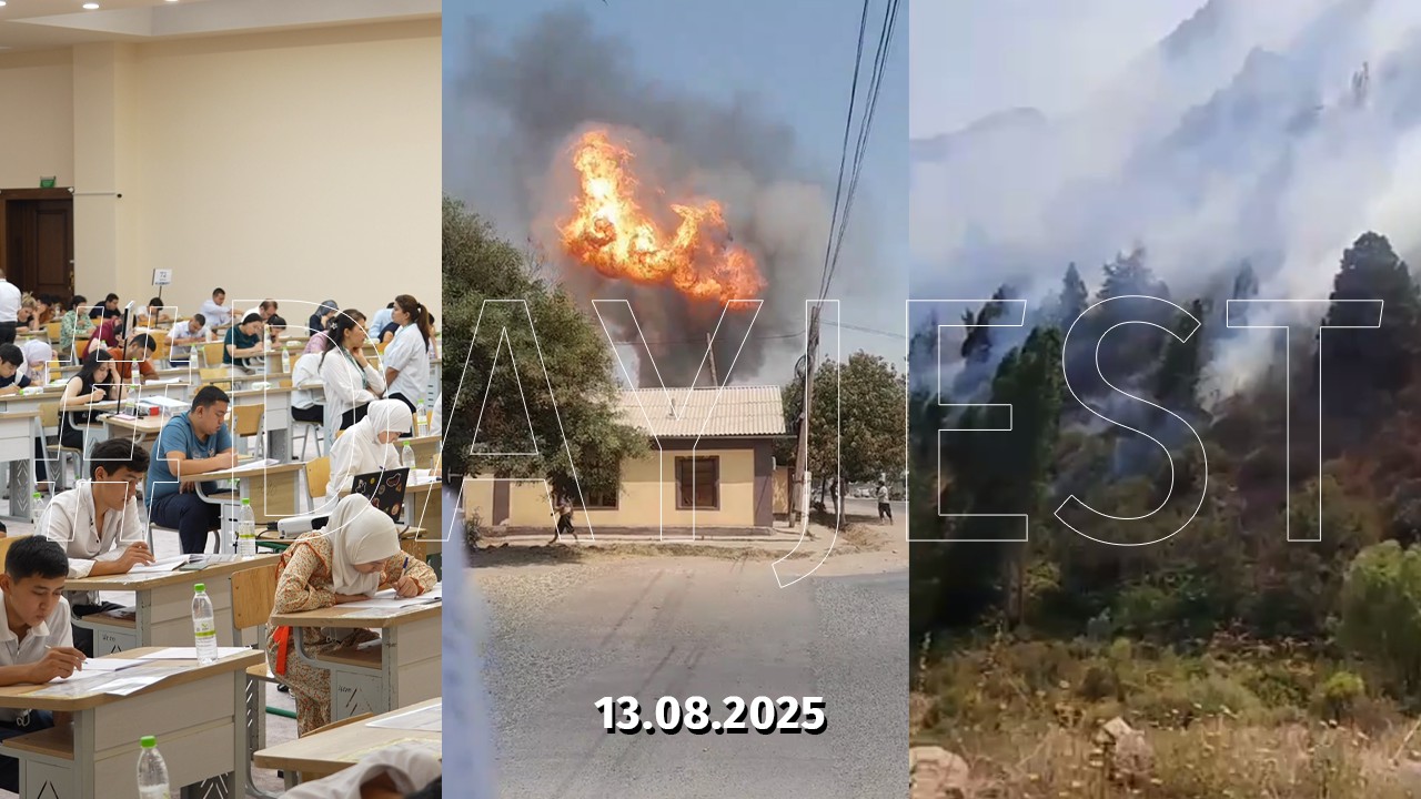 Ayol va erkakning juftlashgan fotosurati