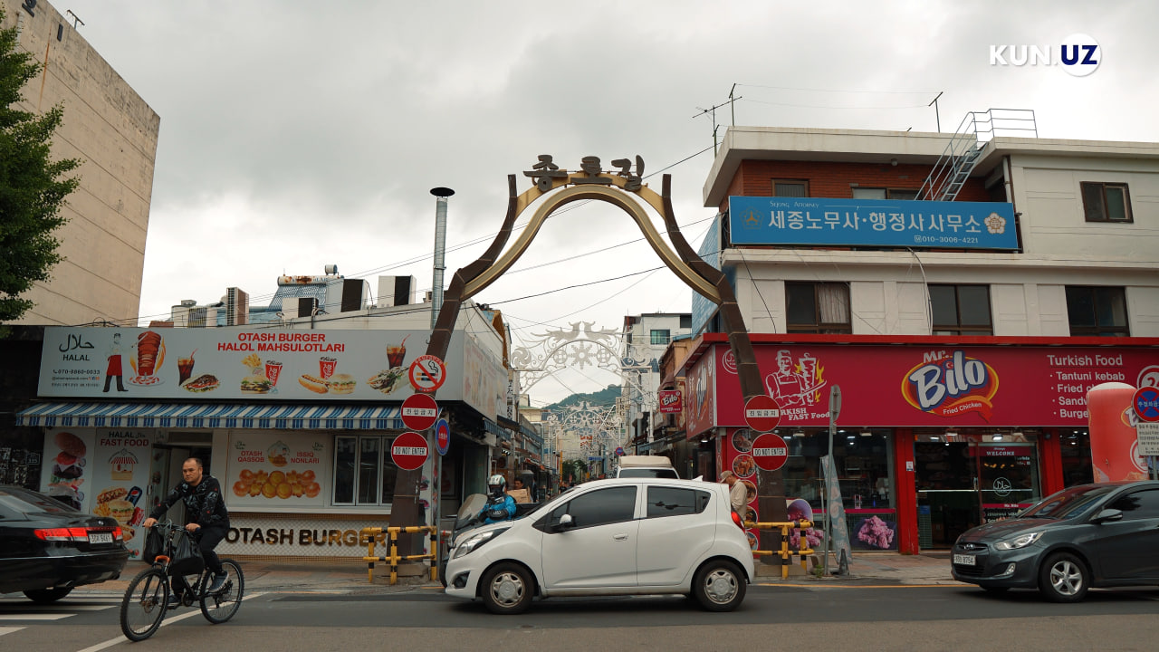 Rus qizlari mushuklari