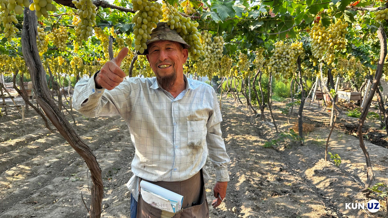 Katta kokrakli lezbiyenler Vaginal pirsing fotosuratlari