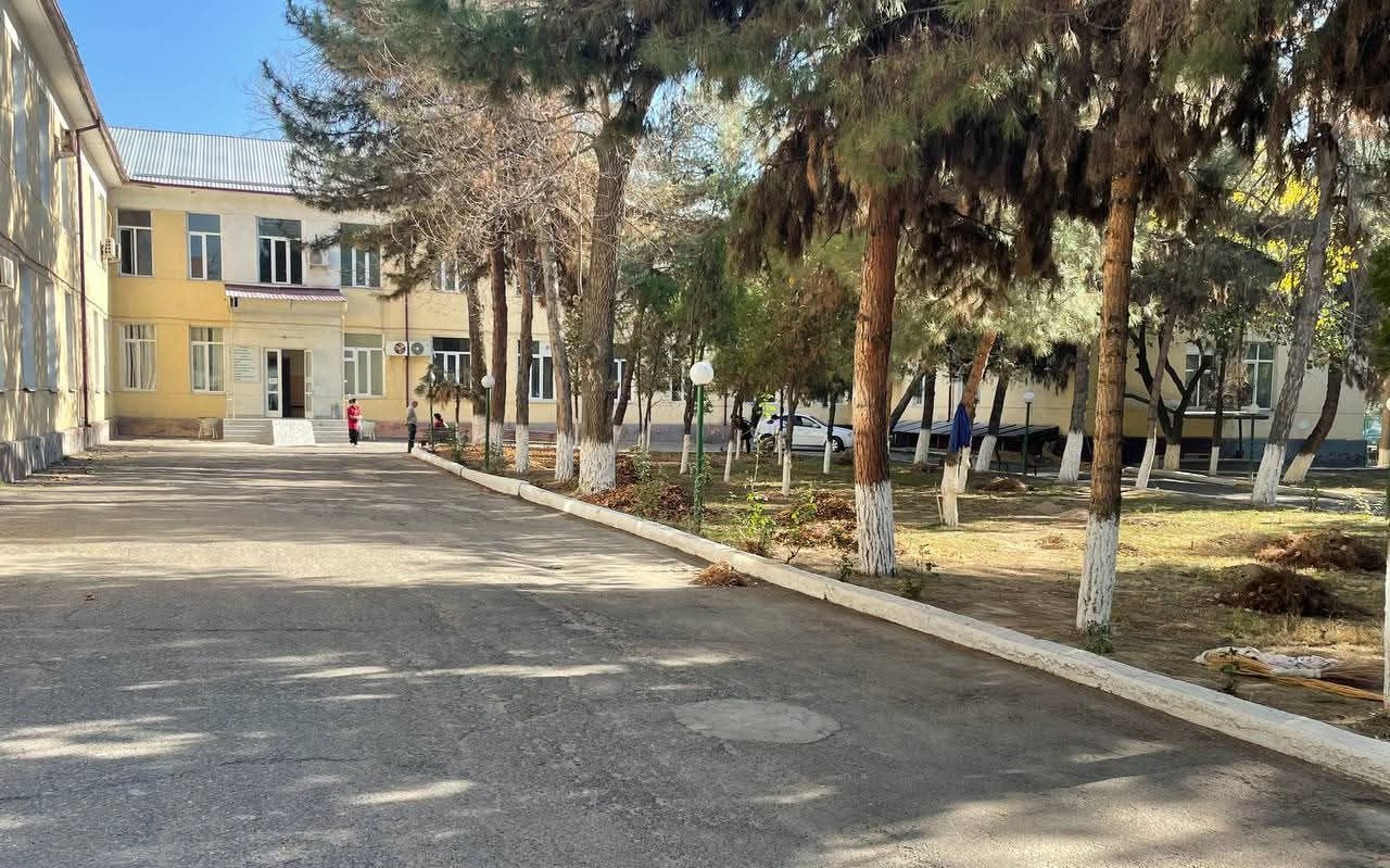 Authorities promise parks instead of construction on oncology sites in Tashkent.