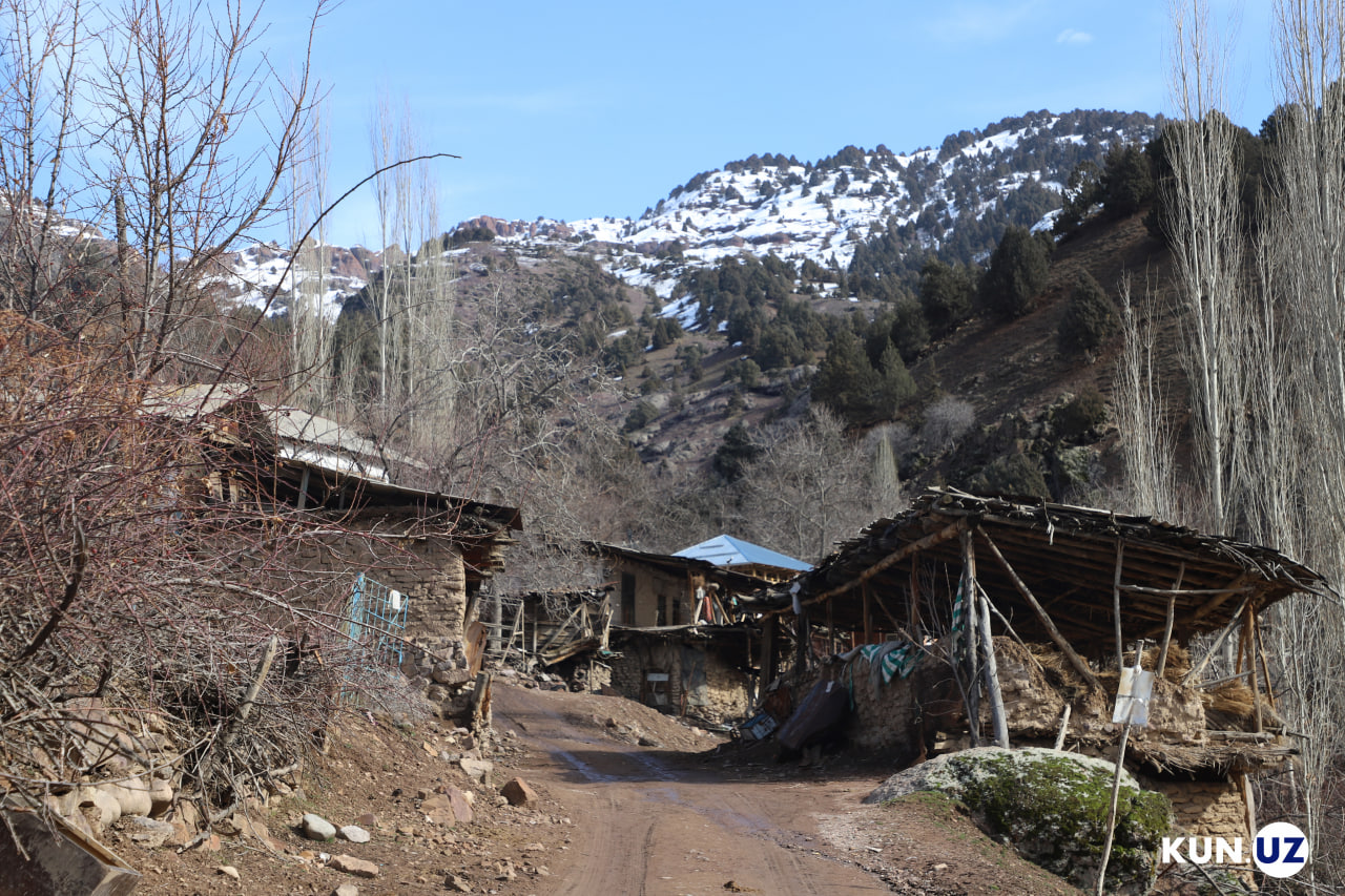 3 xil tovlanuvchi archazor, go‘zal sharshara: Lashkarakdan fotoreportaj ...