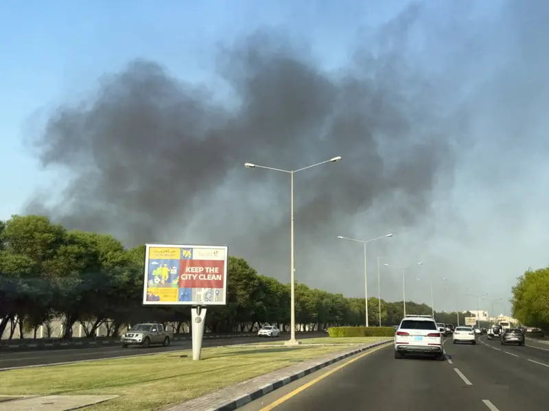 Keling, uni mushukni yalaylik