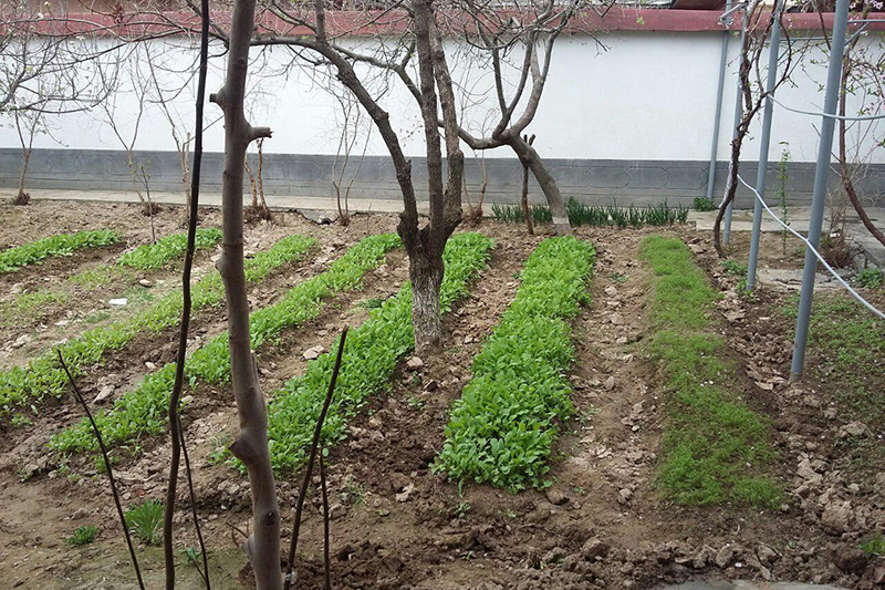 Yoqimli kotibani sikdi Trannies bilan HD porno