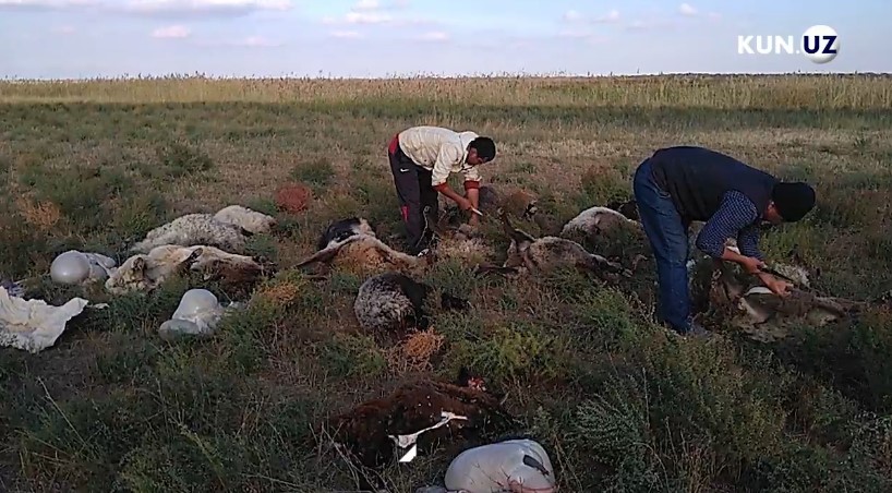 Dengizda dam olayotgan ikki juftlikning seks videosi