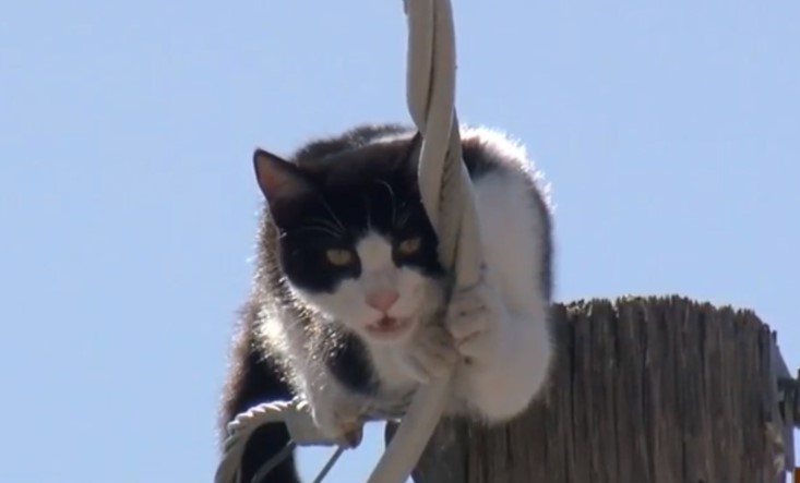 Jinsiy aloqa uchun xotin jinsiy aloqa uchun ayol