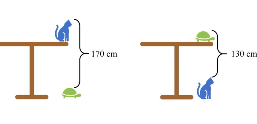 Sabzavotlar porno onlayn