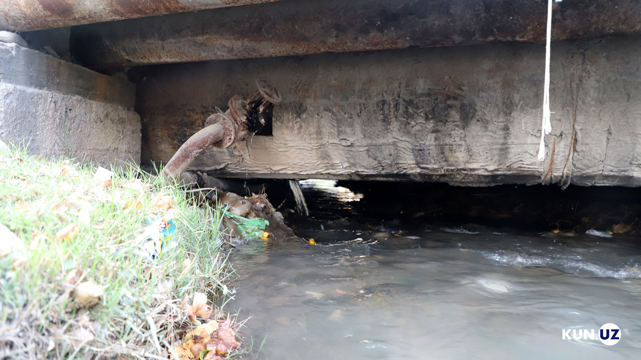 Tyumenda porno suratga olingan Paypoqda etuk jojalar