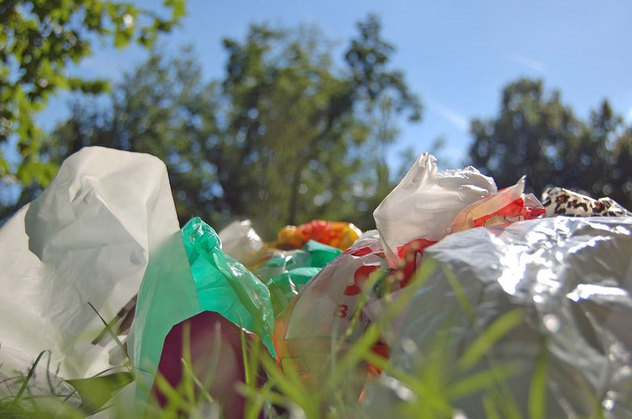 Ecological Party of Uzbekistan proposes replacing traditional plastic bags  with biodegradable ones