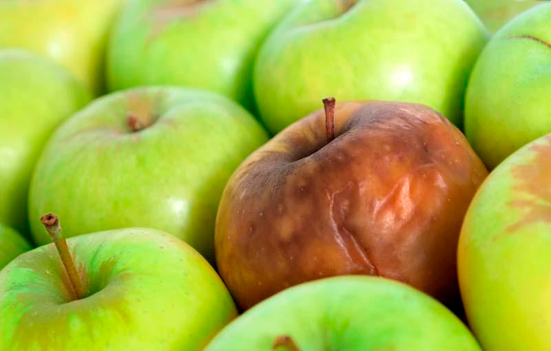 яблоко пополам. яблоко. срез яблока. фрукты яблоко. яблоко.