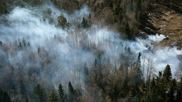 Францияда ўрмон ёнғинини ўчираётган самолёт қулаб тушди