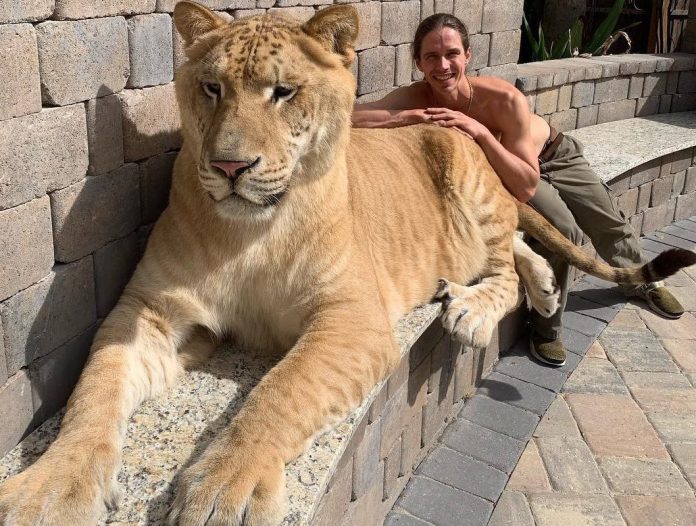 Ikki joja uchun yaqindan olingan kunnilingus