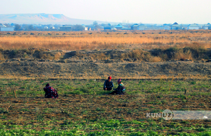 Chechen jinsiy aloqa video onlayn